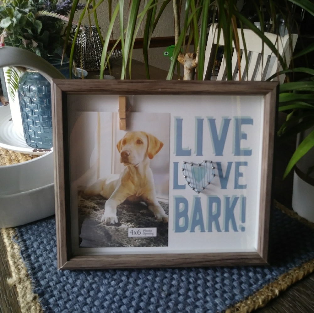 Pet Frame